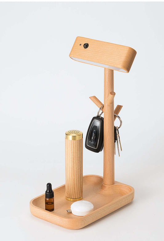 Magnetic Solid Wood Rechargeable Induction Light-0