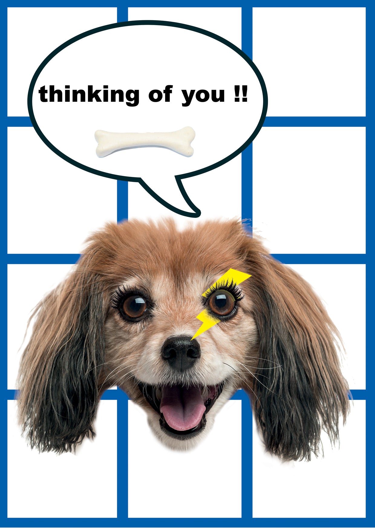 Kaartensetje Flappie Thinking 10 st.-0