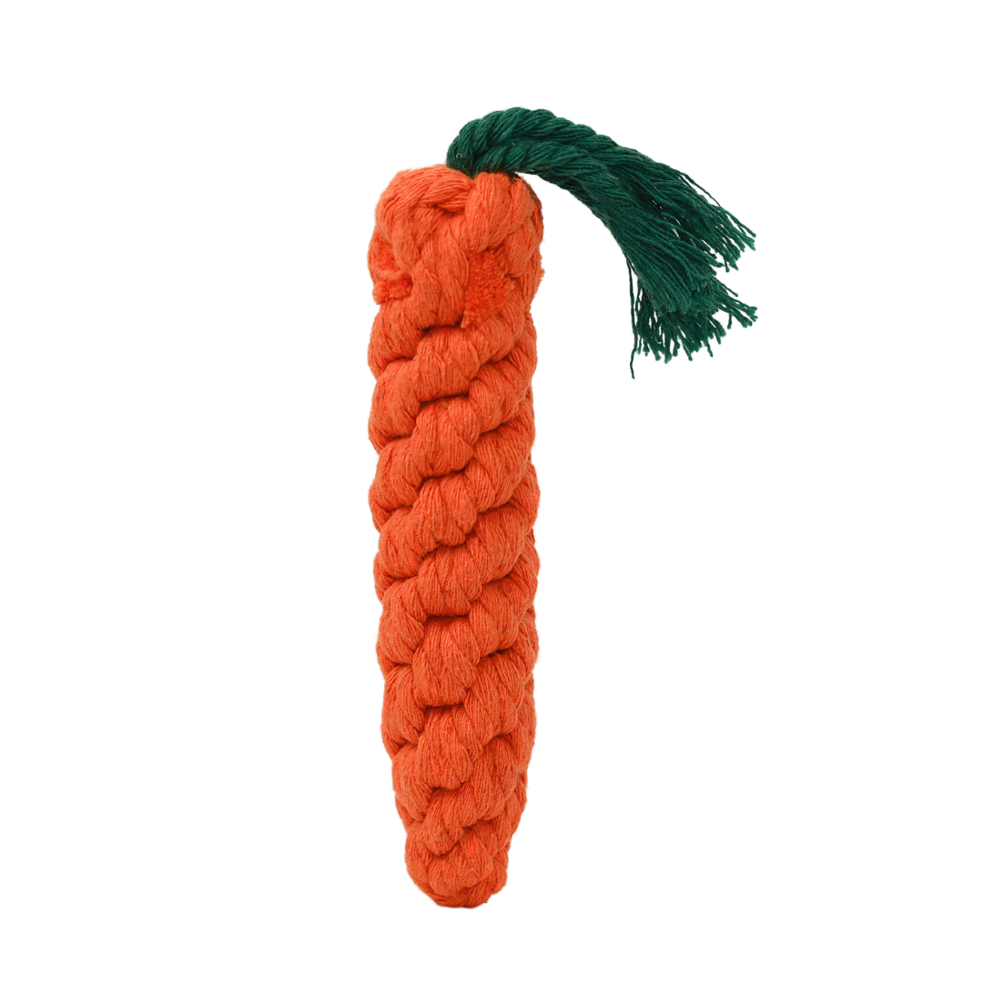Knotty Large Orange Carrot-0