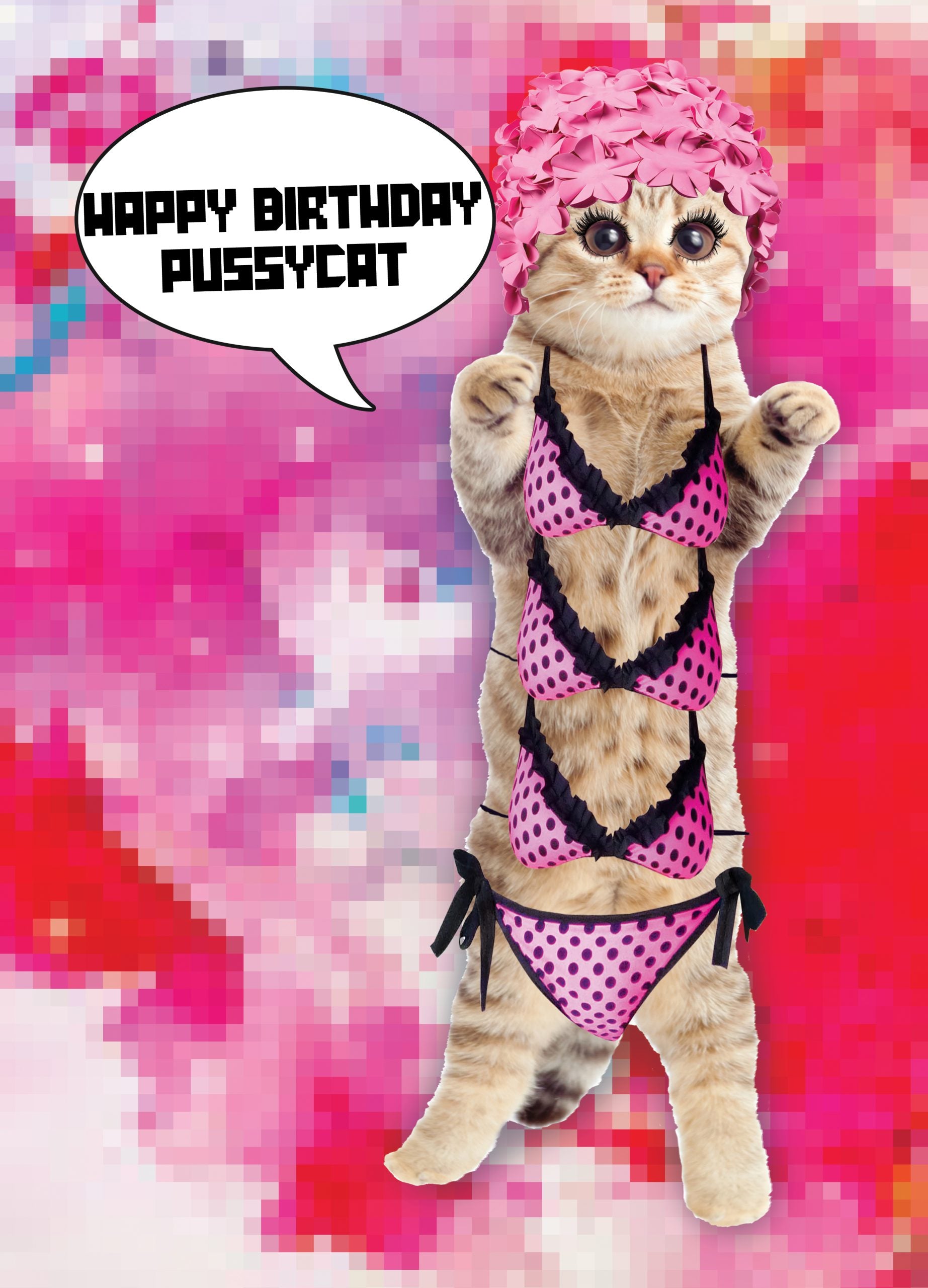 Kaart Happy Birthday Pussycat 10 st.-0