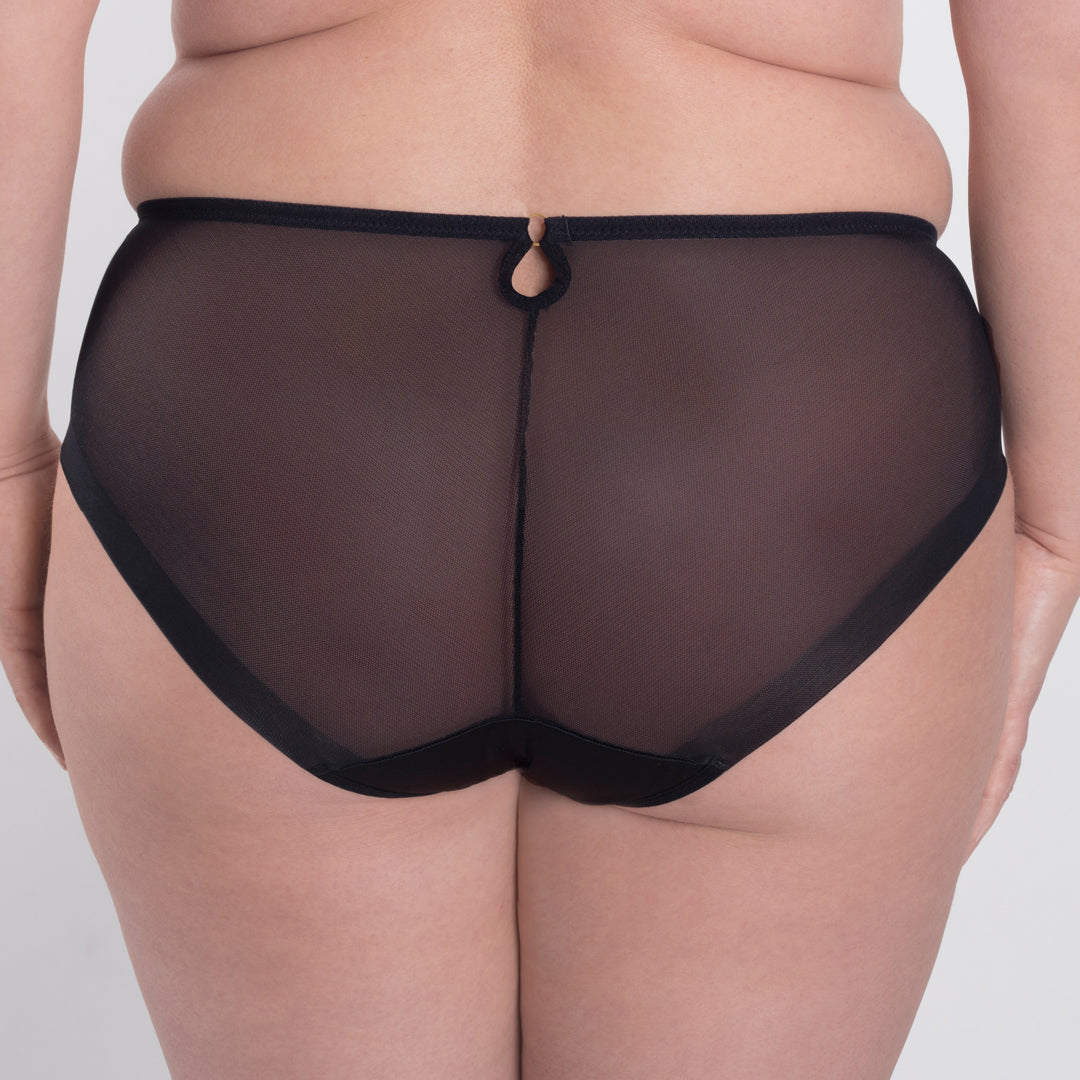Sheer Mesh Tulle Embroidered Brief Panty Perla Black-1