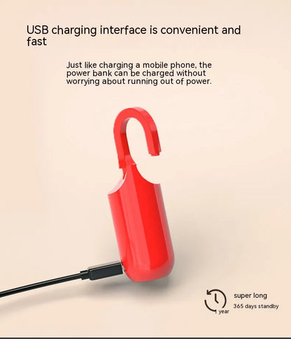 Bag USB Fingerprint Lock