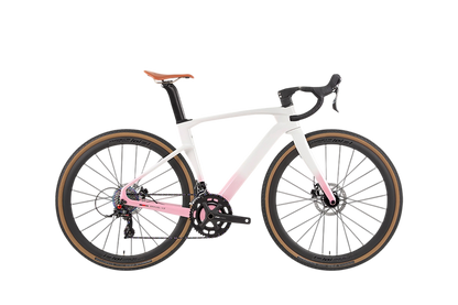 GRAVEL V3 - Carbon Fiber Gravel Bike-1