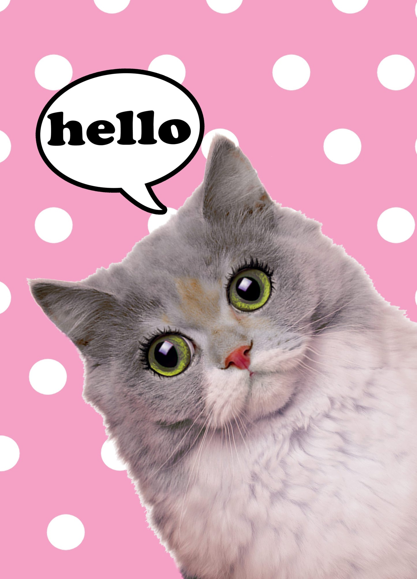 Kaart Hello Poes 10 st.-0