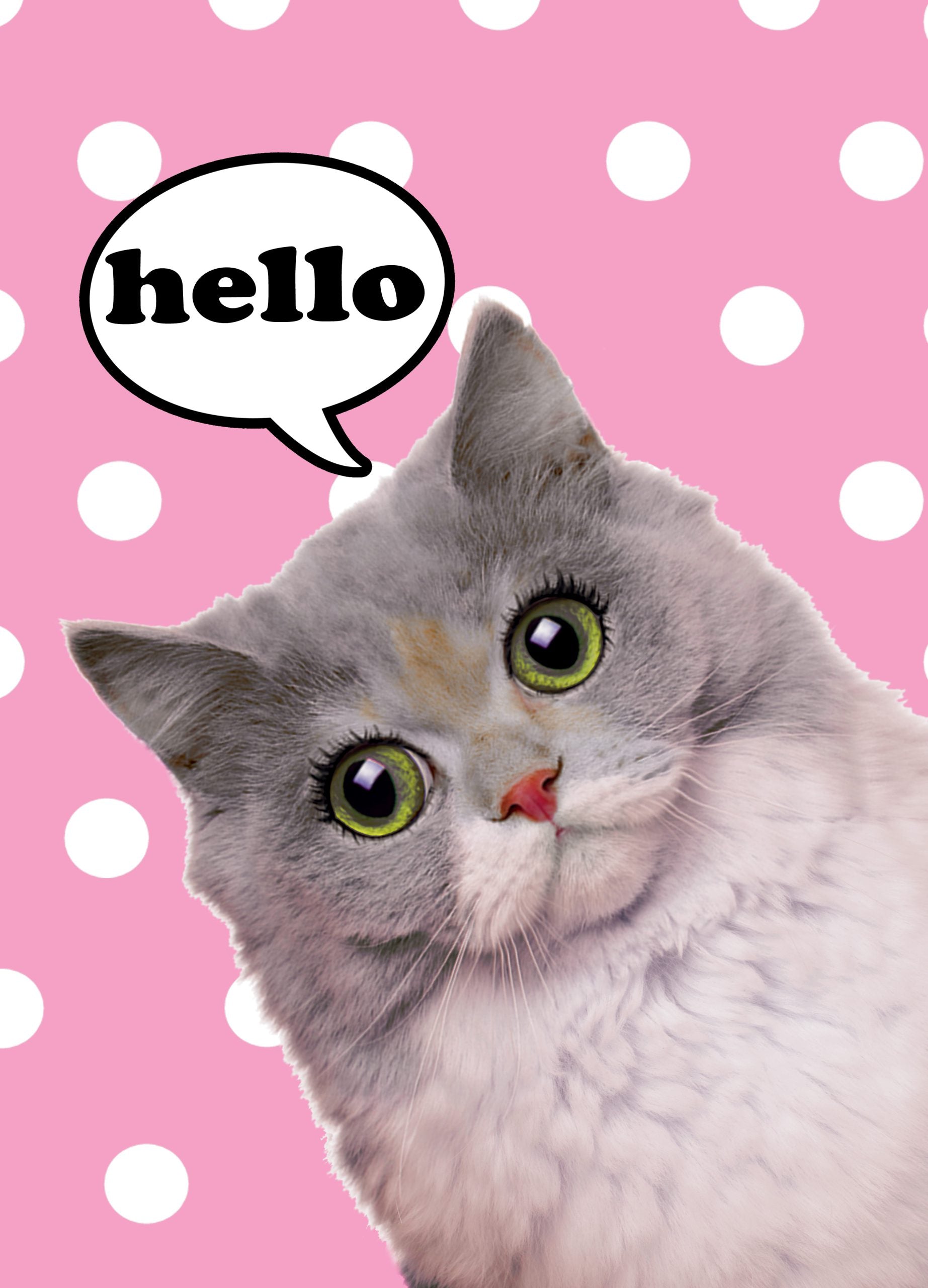 Kaart Hello Poes 10 st.-0