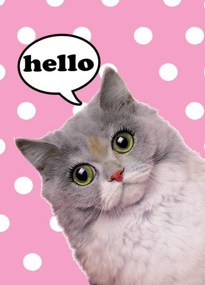 Kaart Hello Poes 10 st.-0