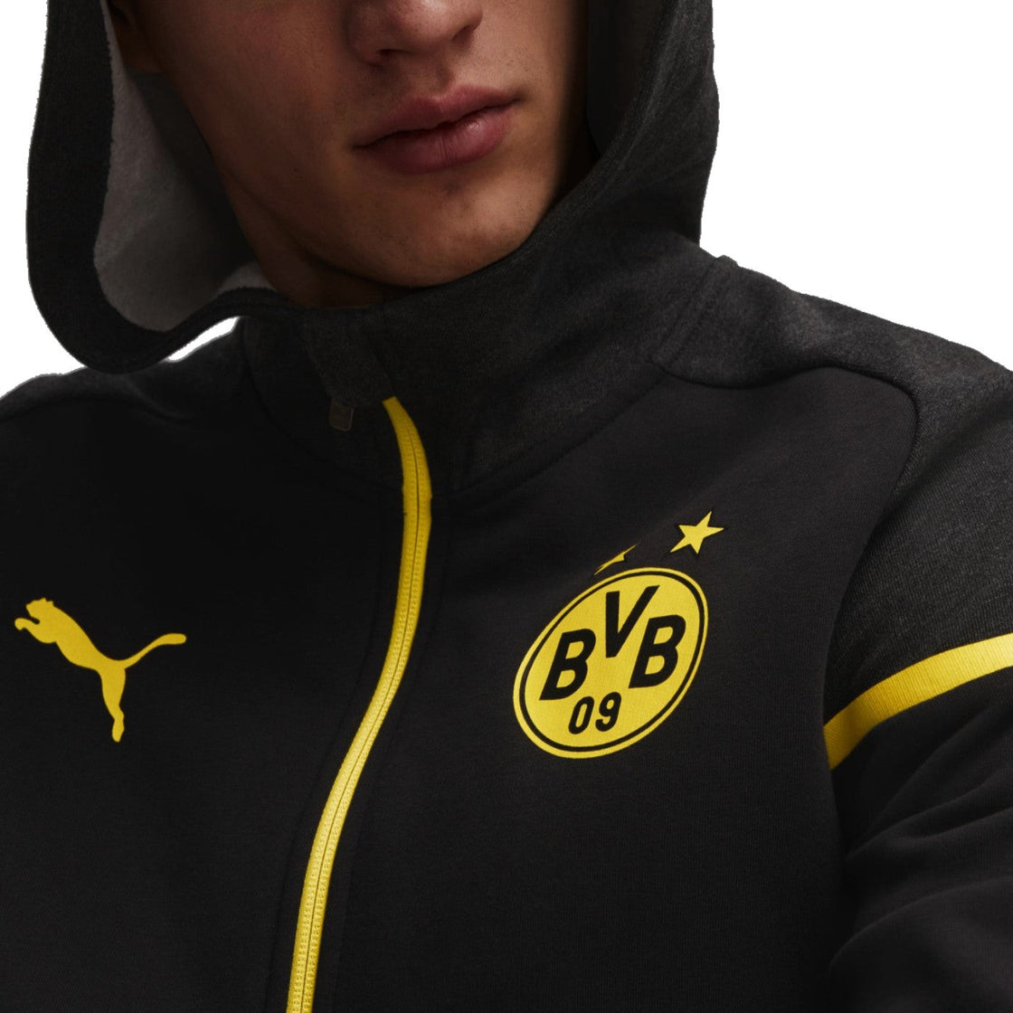 Borussia Dortmund Casual hooded presentation tracksuit 2023/24 - Puma-4