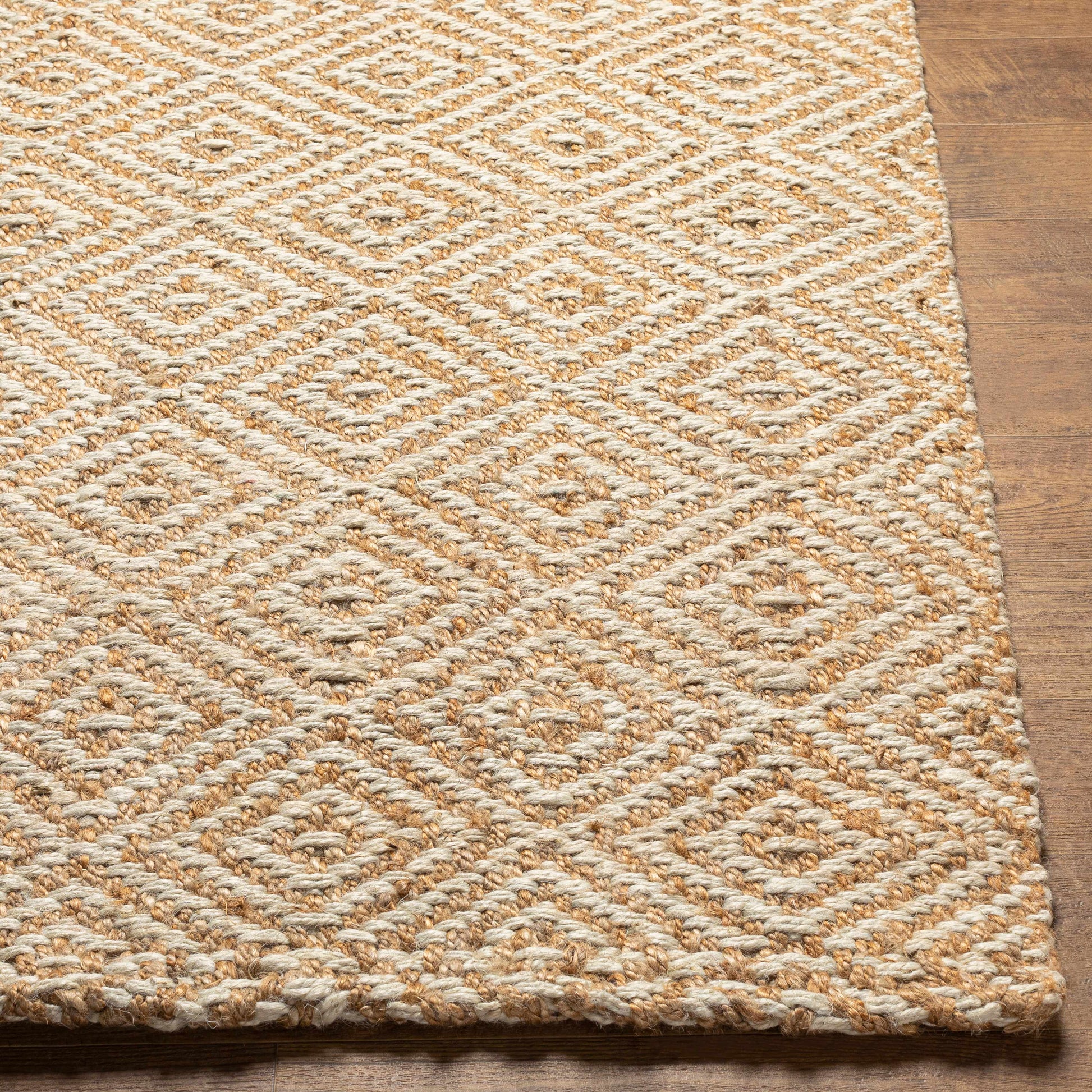 Eriko Area Rug - Clearance-2