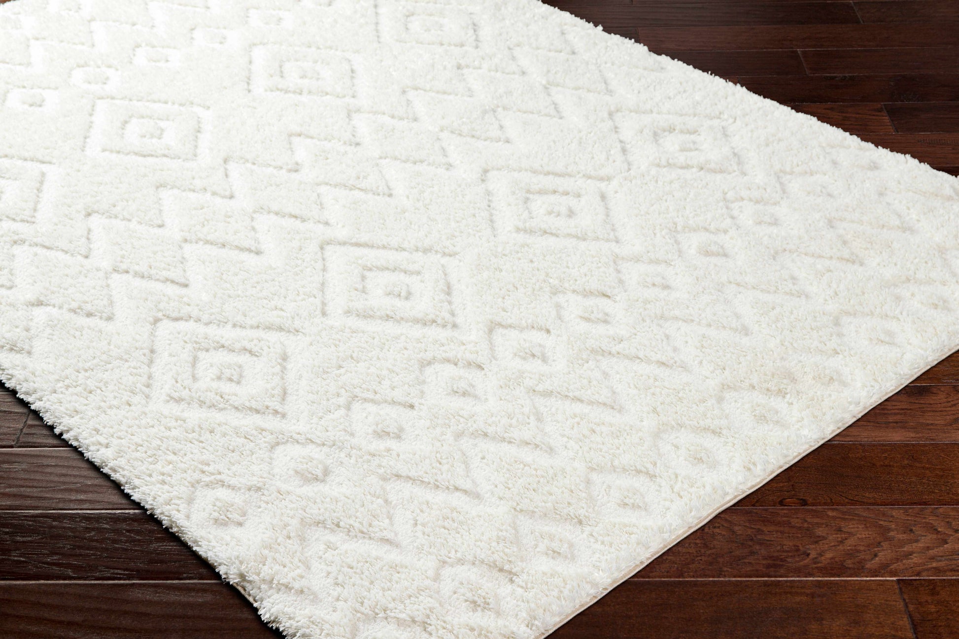 Hoshi Area Rug-1