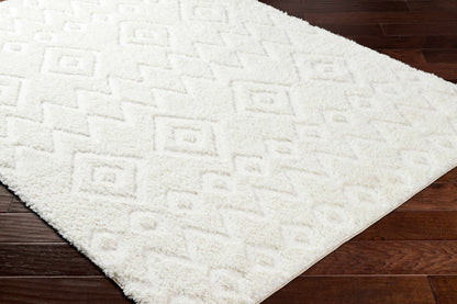 Hoshi Area Rug-1