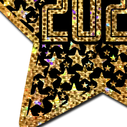 5-Pack: Happy New Year Pasties 2026 Black & Gold Star Nipple Covers by Pastease-3