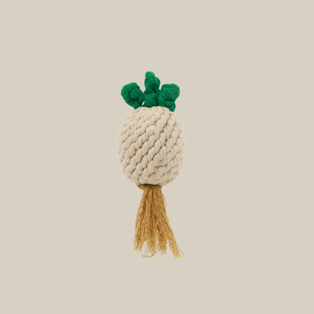 Handmade Onion Rope Toy-1