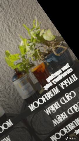 Happy Mushroom Cold Brew & Thai Chai Concentrate-2