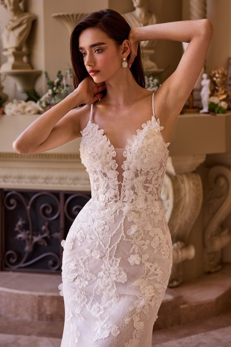 Fitted Lace Wedding Gown-2