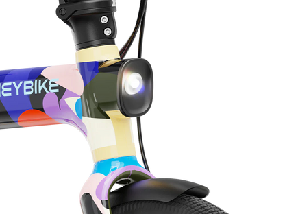 Heybike Helio F– Limitierte Künstler-Edition-4